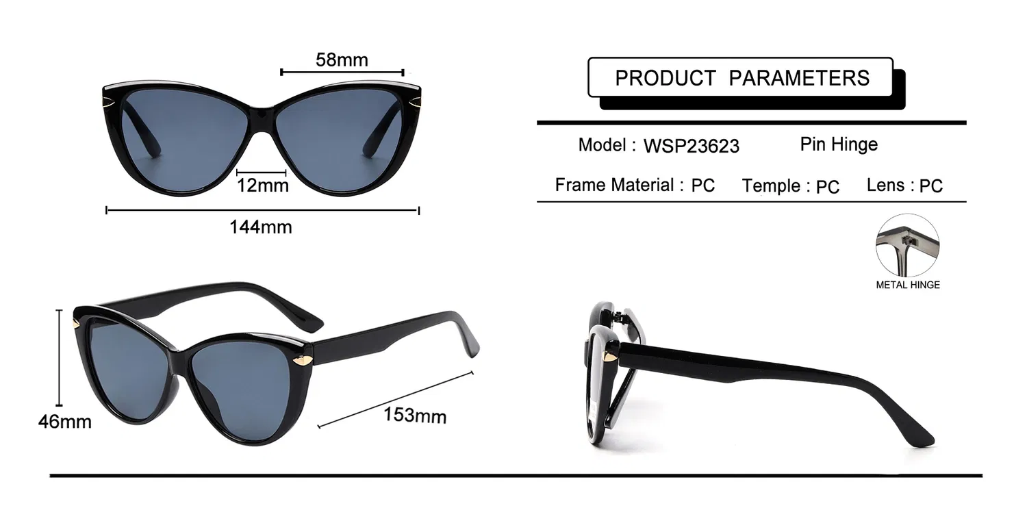 Le chat qui portait des lunettes de soleil Multi